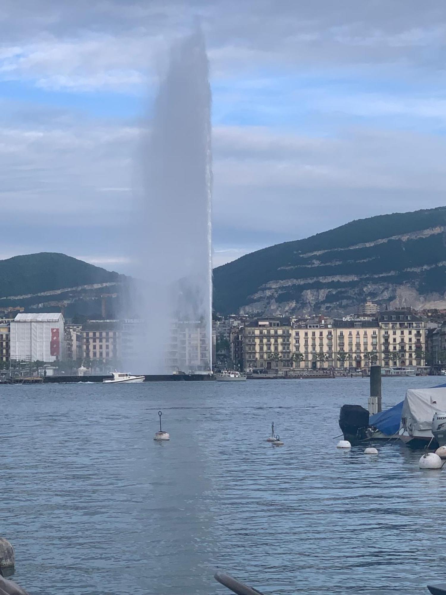 Cosy And Functional Close To Cornavin Geneva